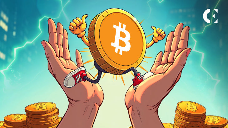 mstu交易计划（投机行为）