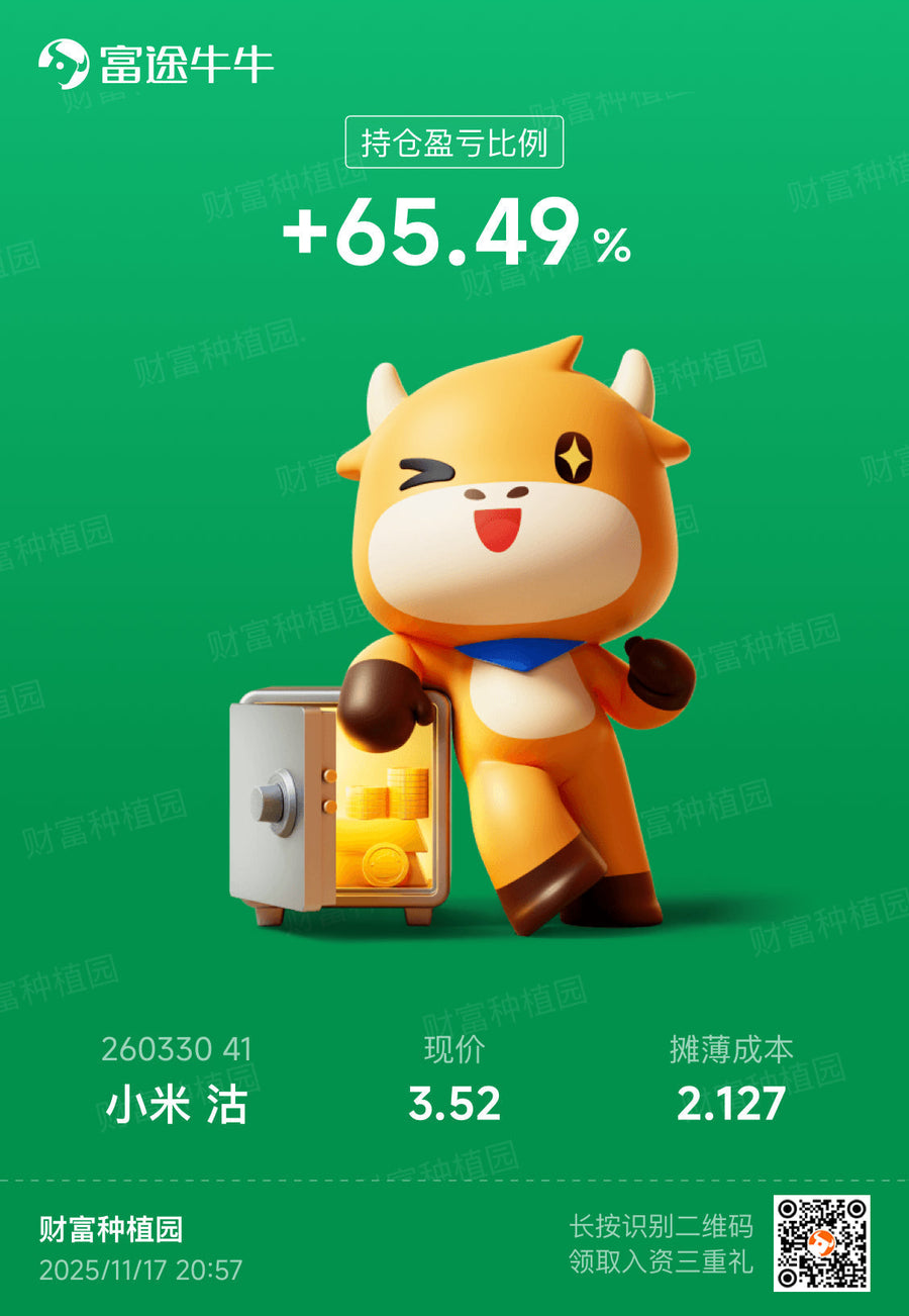 案例分析：做空小米